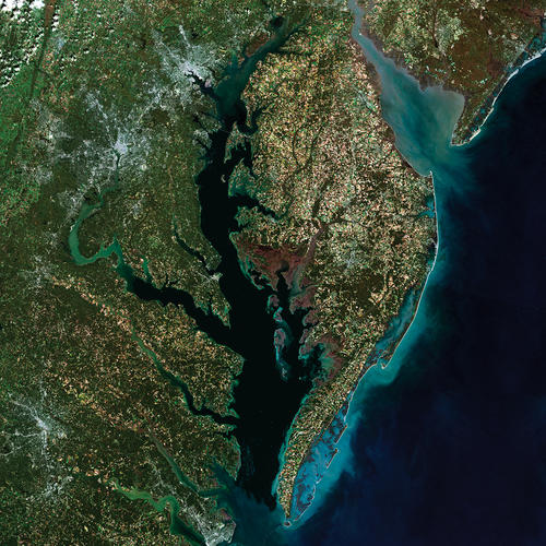true color composite image of Chesapeake Bay, created from Landsat satellite imagery