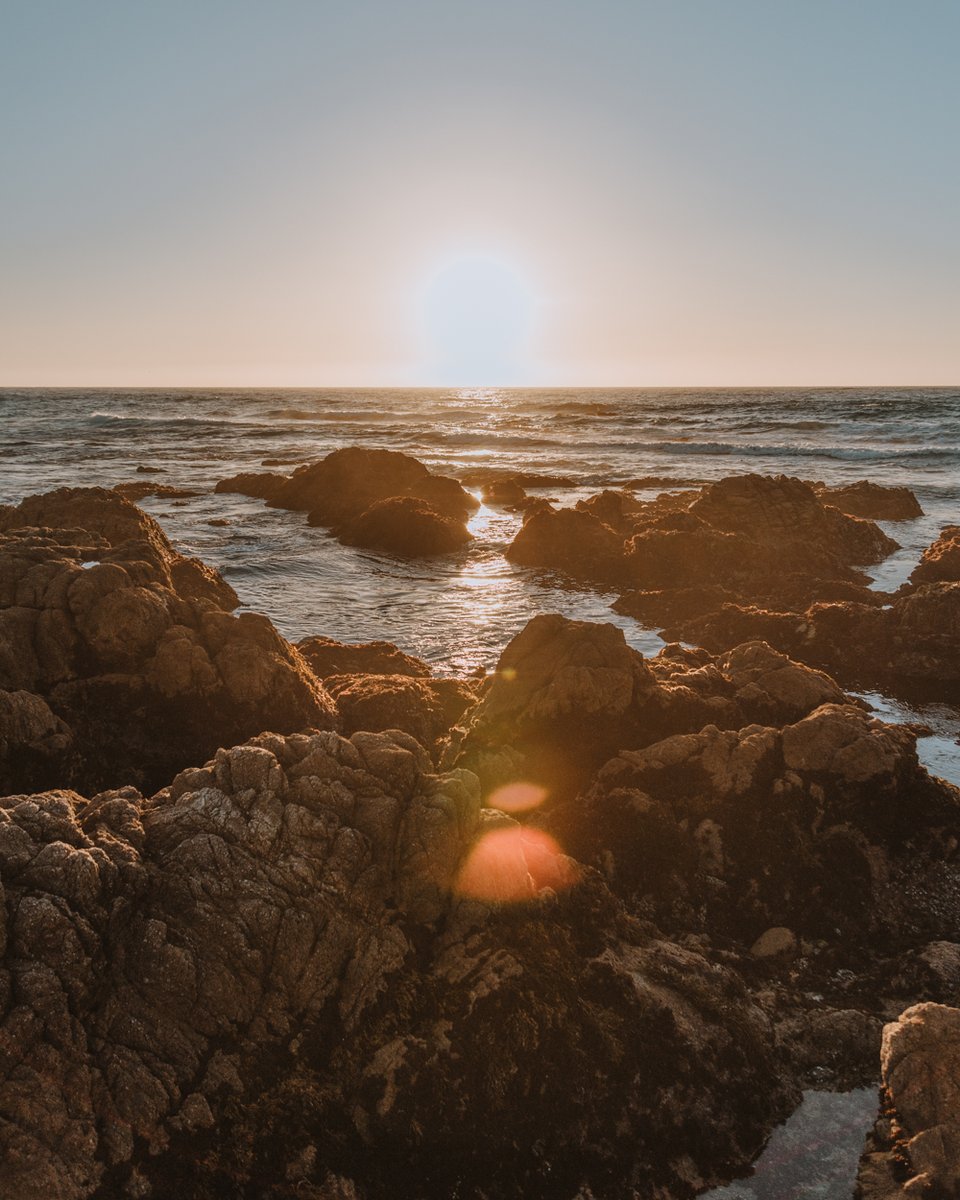 JacksMonterey's tweet photo. Globally inspired traditions of #California Cultural Cuisine, emphasizing #localingredients, high-quality seafood, and more. https://t.co/LjuEmjsSZX