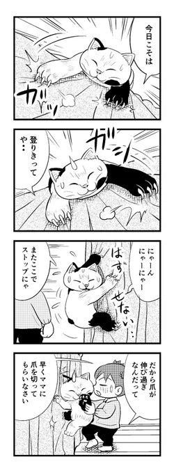 眠いー 
おやすみなさい   (‾q‾)zzz
苦しまぎれ4コマー 