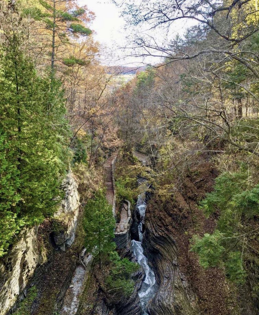 wanderlust_ny's tweet photo. Just some sick views from all over WATKINS GLEN STATE PARK #explore #NY #watkinsglen #hiking #weather https://t.co/enCIfVD0e6