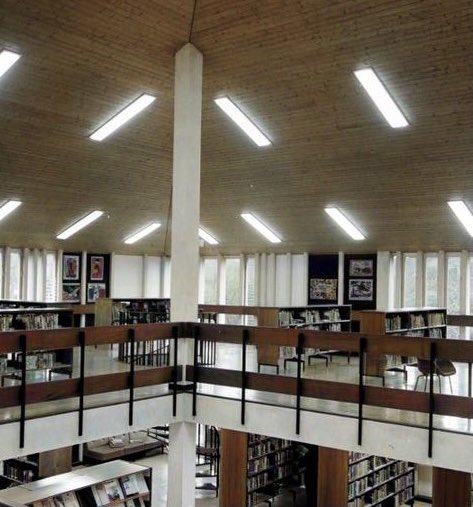 Brutalust tweet media