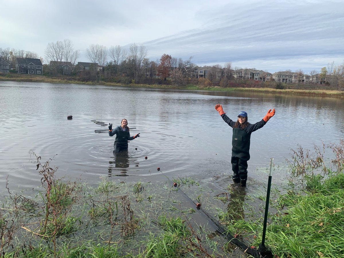 PriorSpringWD's tweet image. It's been a successful week of trap netting on Jeffers Pond! We implanted tags in some carp for tracking purposes and surveyed the fish population. We found bluegills, several types of sunfish, black bullheads, and a northern pike!