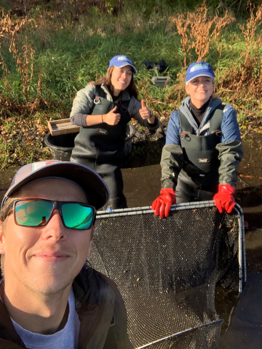 PriorSpringWD's tweet image. It's been a successful week of trap netting on Jeffers Pond! We implanted tags in some carp for tracking purposes and surveyed the fish population. We found bluegills, several types of sunfish, black bullheads, and a northern pike!