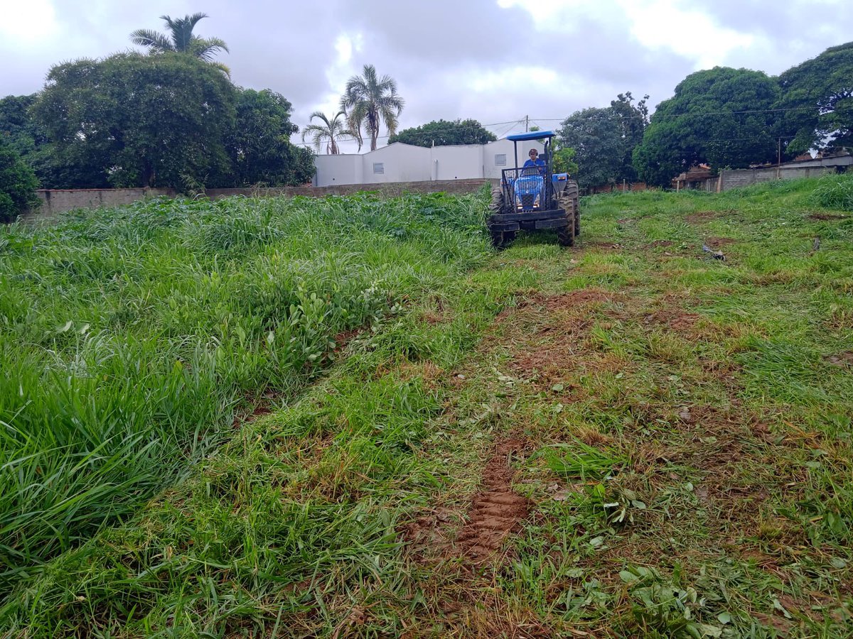 MaxMenezes's tweet photo. Roçagem realizada hoje na Upa do Buriti Sereno. Nosso dever é deixar a cidade limpa e bonita, sem mato alto e lixos. Nos ajude a cuidar também!
#MaxMenezes https://t.co/NhwHd1bXe5