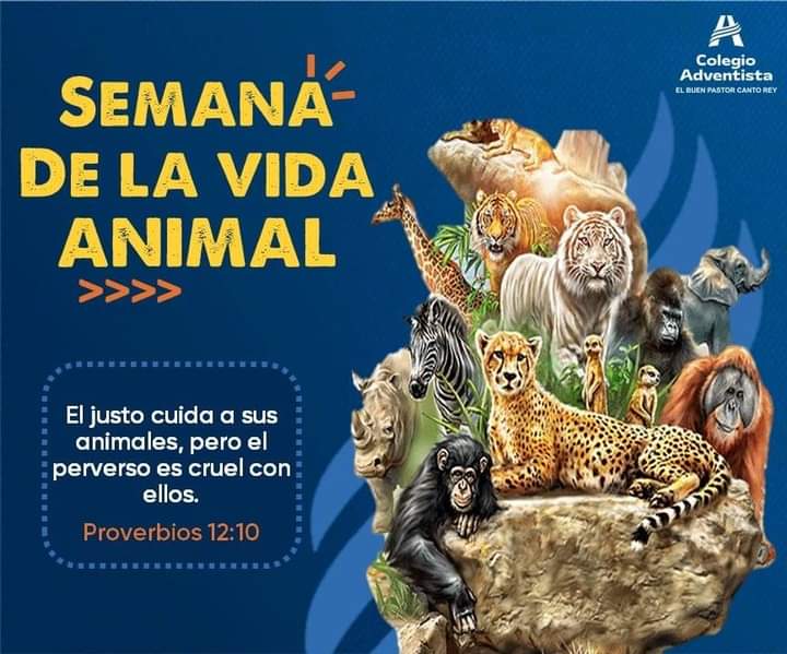 IEABuenPastorCR's tweet photo. #SemanaDeLaVidaAnimal
🎉Cada 2️⃣da semana de Noviembre de celebra la "Semana de la Vida Animal". 🐕🦺🐄🐱🐦
🔰Los Animales son creación de Dios y están para ser cuidados. #EducaciónAdventista #MásQueEnseñanza #SomosUnaGranFamili #amamosalosanimales #CreaciondeDios #EducaciónUPN https://t.co/IhXQnitzYT