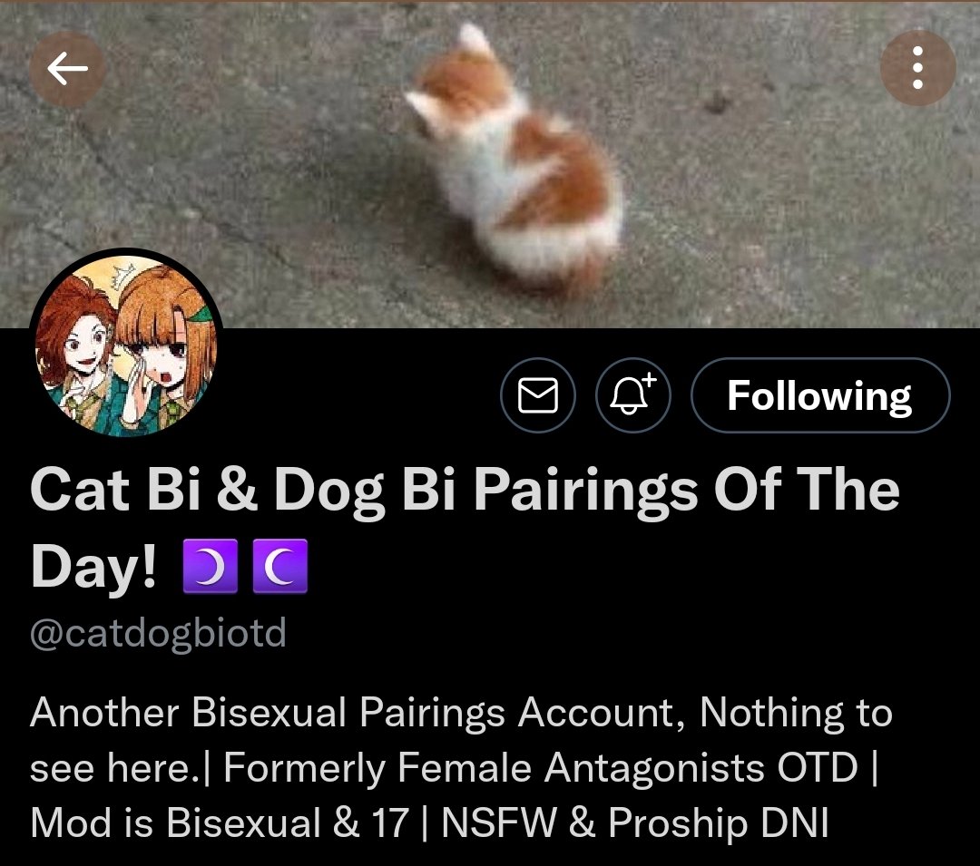 Our first OTD of the day is @catdogbiotd because I said so and that's all the reasoning yall need