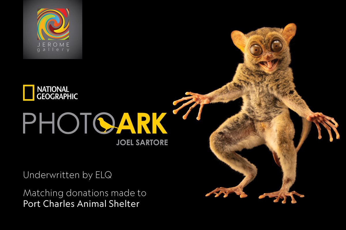 GeneralHospital's tweet photo. You are cordially invited to the premiere presentation of @joelsartore's #PhotoArk exhibit - hosted by the Jerome Gallery and underwritten by ELQ! Tune into #GH this week for a one-of-a-kind look at these amazing animals! @NatGeo #GeneralHospital https://t.co/JUv0lAluyT