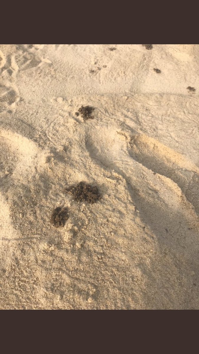 Matthew Reed 💙 tweet media