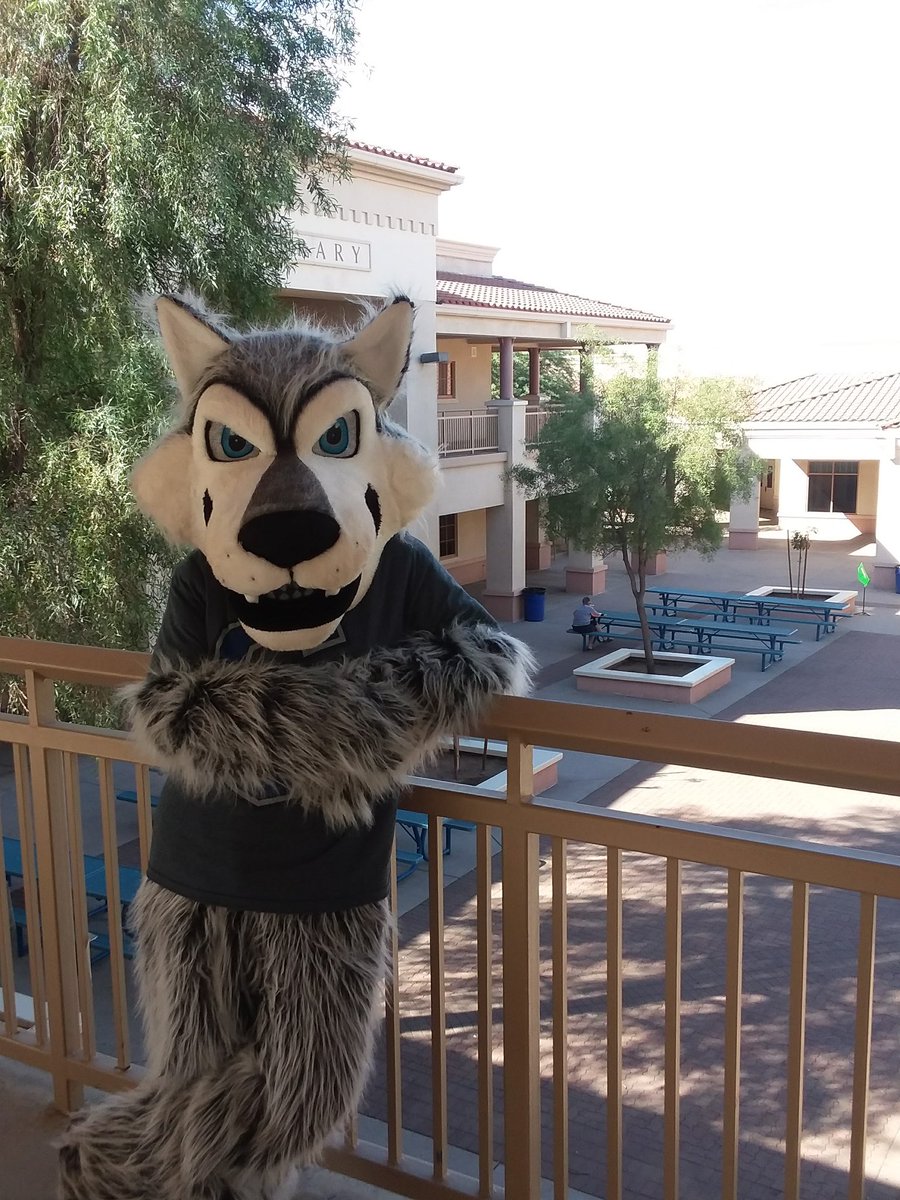 Hamilton? Pfft, hardly know her. 

#gameday #chandlerhigh #chandlerhighfootball #soc