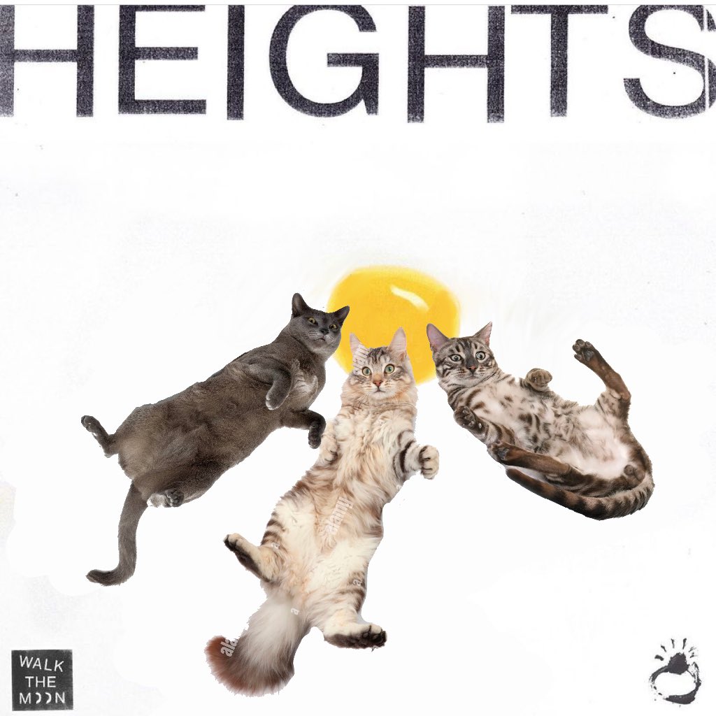 WALK THE MOON as cats tweet media