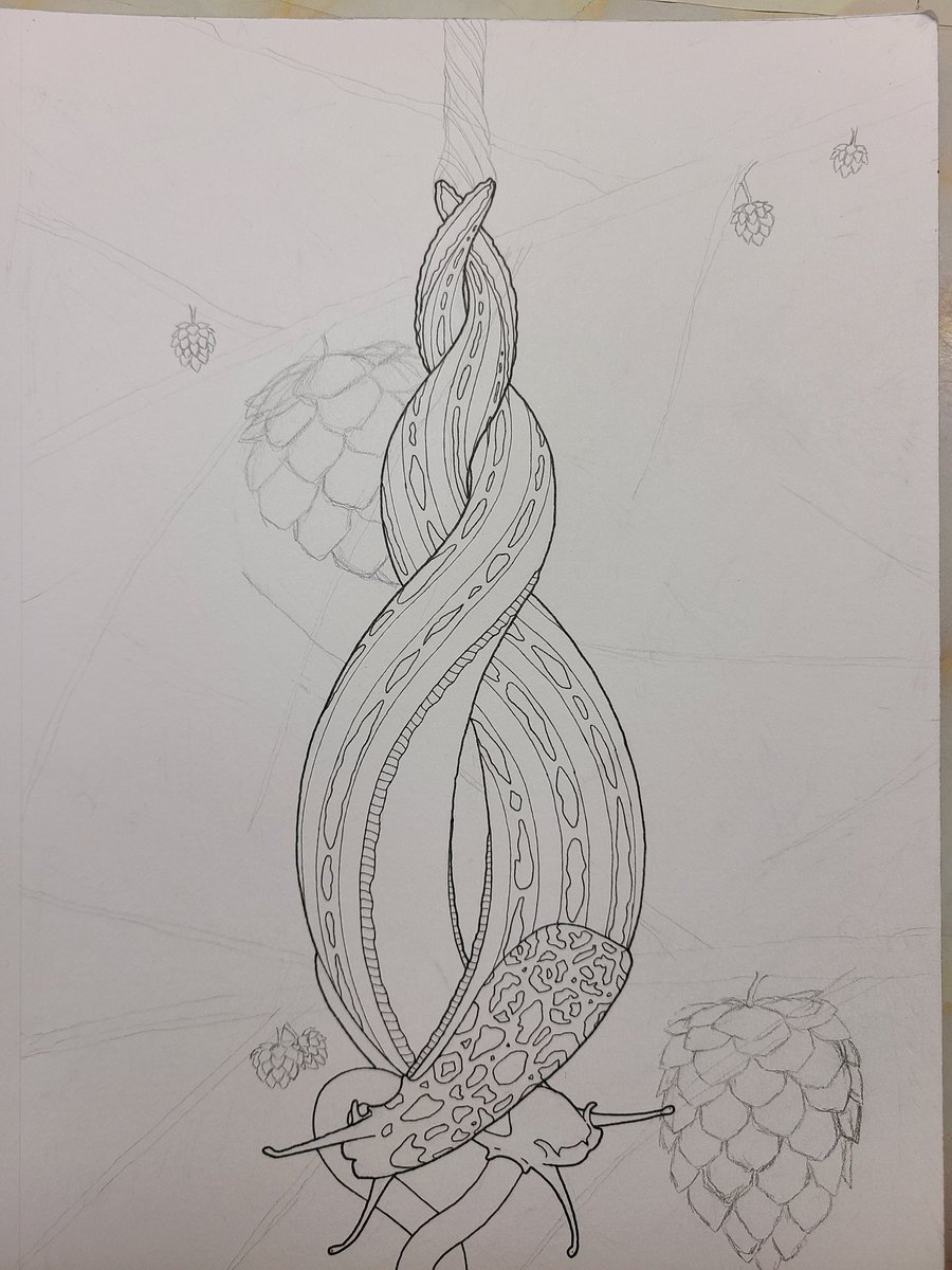 DesignBnb's tweet photo. Pretty glad I draft it pencil first. My dumb butt put Holly berries on pine tree branches.
#art #drawing #coloringbook #bugart #adultcoloringbook #entomology #entomologyart #bug #insects #slime #slug #slugsandsnails #slugart #slugsmating #mating #matingritual #leopardslug https://t.co/sDyplYcShd