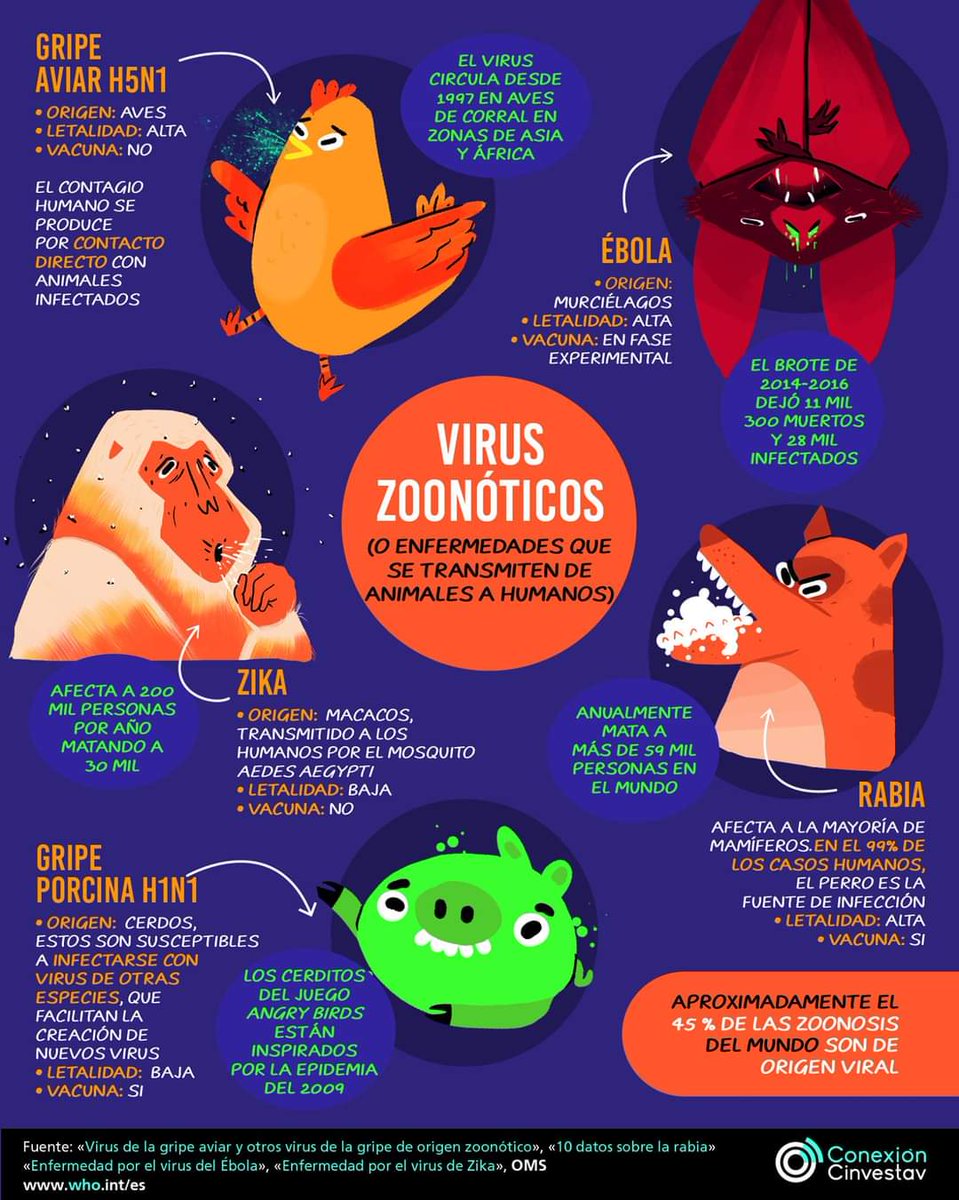 cbide_oaxaca's tweet photo. A nivel mundial, aproximadamente 45 por ciento de las #enfermedades transmitidas de animales a humanos son de origen #viral.

@ConexionCinves https://t.co/vy5ffwCYZc