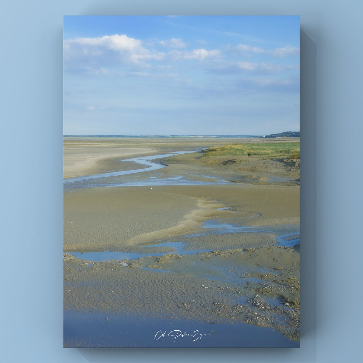 CelinePivoine's tweet photo. Marée basse à la pointe du Hourdel en baie de Somme
📩 Infos & tarifs en DM
#bleu #baiedesomme #mareebasse #pointeduhourdel #plage #mer #paysage #landscape #nature #france #francetourisme #nuage https://t.co/FWk7Tt8mRl
