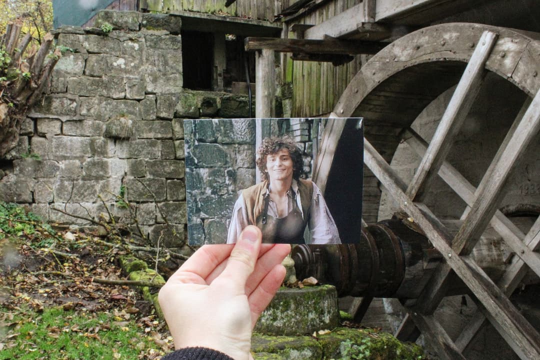 Filmové políčko tweet media