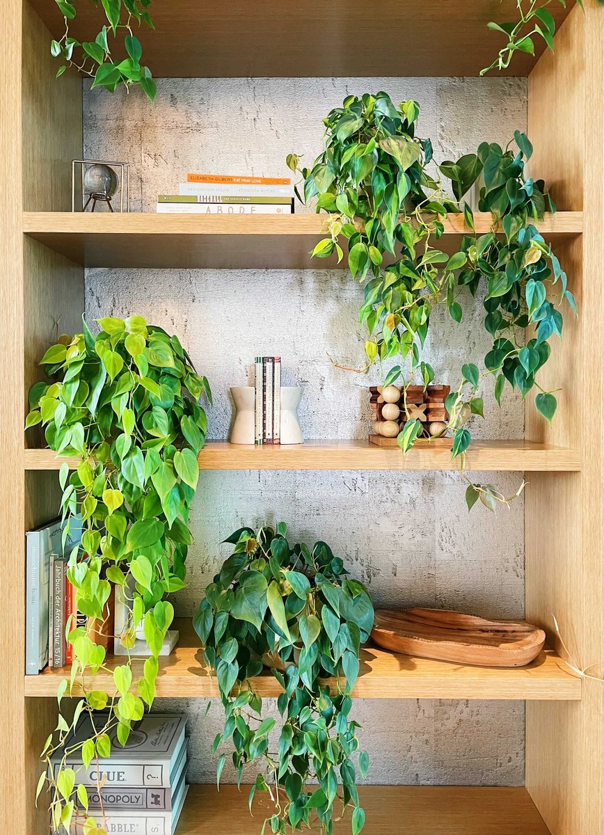 Who said city life can’t be full of greenery? 🌿 Thanks to @rewild_dc, you can embrace greenery in the heart of Navy Yard. #ThankfulForNovel

Discover your DC haven: novelsouthcapitol.com