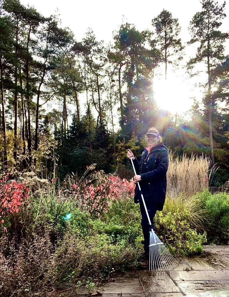 CreativeGardens's tweet photo. The sun ☀️ came out after 🌧  #autumninthegarden #autumn #garden #design #plantingdesign #colours https://t.co/pNEei0zrQ7