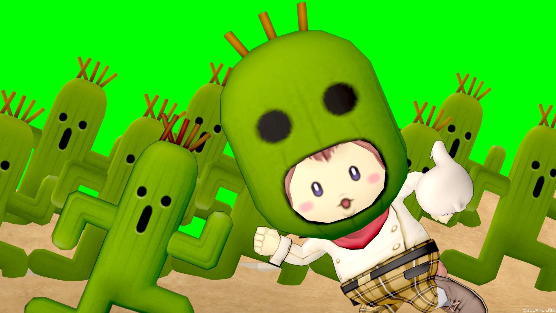 ロロ ともたろ サボテンダーついてクンかわいいね T Co 3e8if3azjh Twitter