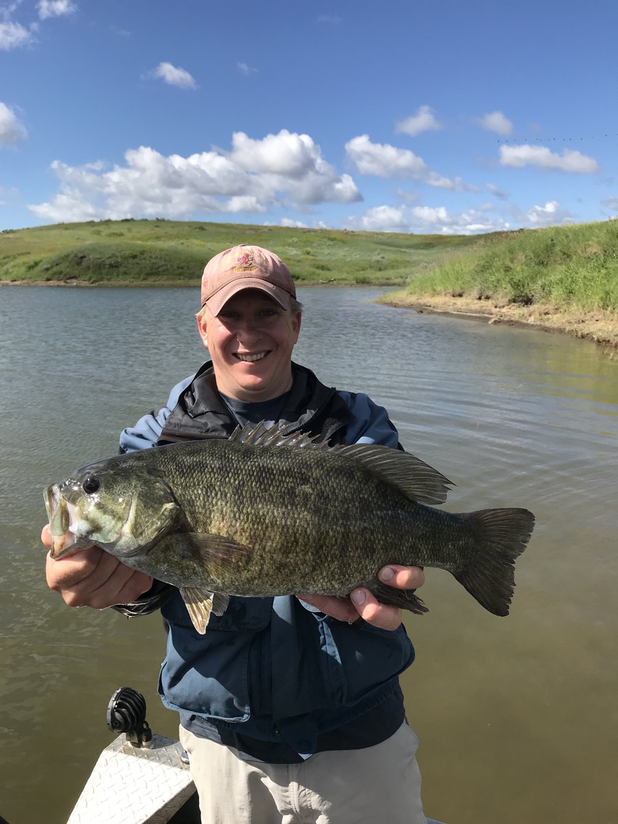 MJWeberLab's tweet photo. A reminder that MS student applications to evaluate population responses of smallmouth bass to harvest are due on Nov 15!

https://t.co/EwS9dNdCS4 https://t.co/Iug6uzQXfx