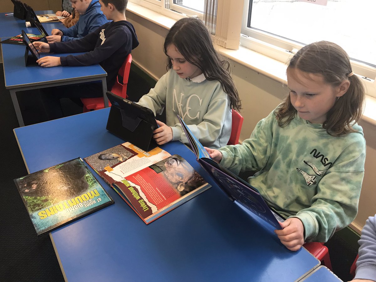 MJuddDSM tweet media