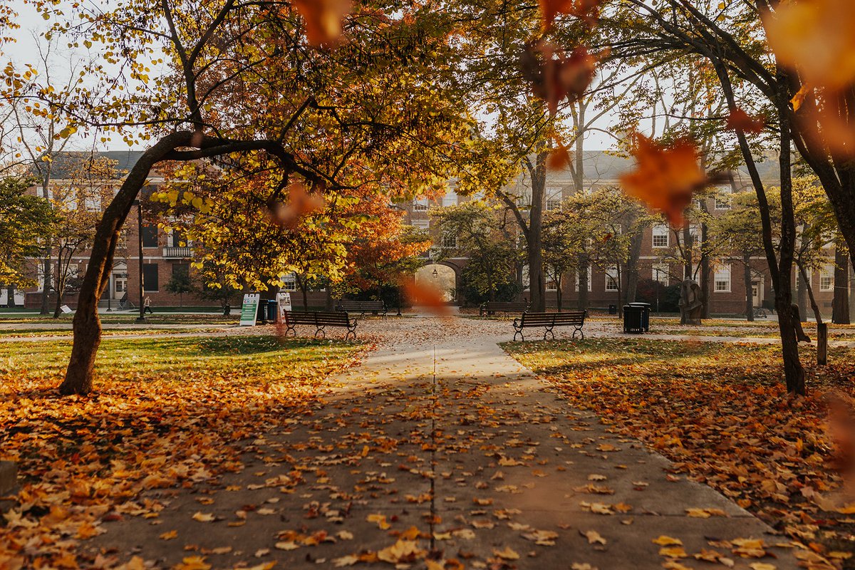 No, I don't think you understand...I'm obsessed! 😍 🍂