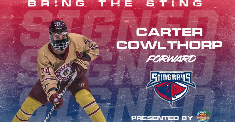 SCStingrays's tweet photo. Stingrays add forward Carter Cowlthorp ahead of tonight's contest. Cowlthorp scored four points in eight games with the Knoxville Ice Bears of the SPHL to begin the year.