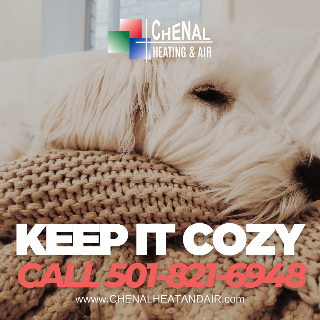 ChenalHA's tweet photo. Keep it cozy when your HVAC service is done by our experts. It's stress free all year round, even during the busy holiday season. Give us a call today: 501-821-6948 or visit our site: https://t.co/9EvIewxSAq. #NoGimmicks https://t.co/vEV4PHfzYU