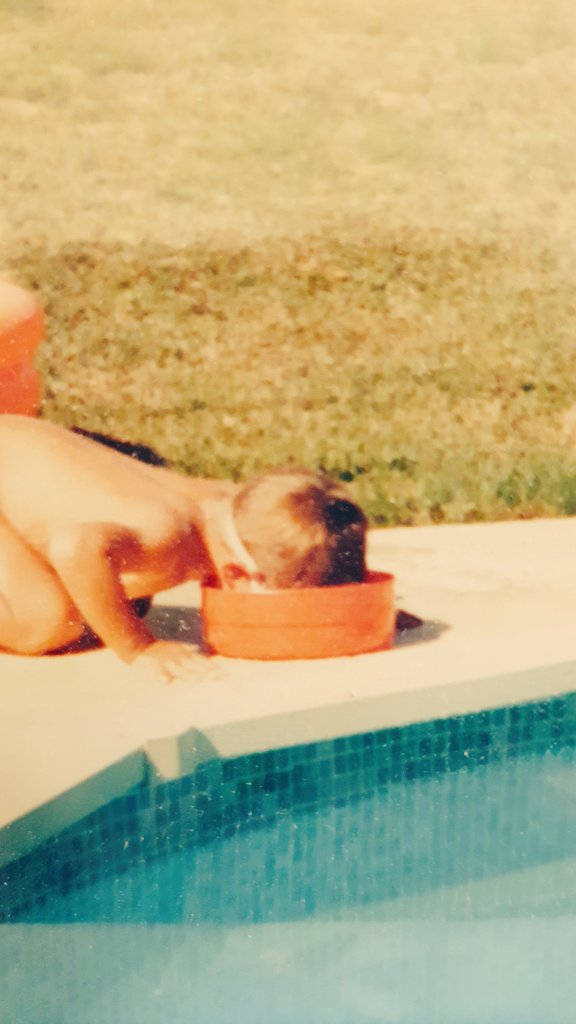 shaytwangame's tweet photo. A photo of you as a child that encapsulates your energy https://t.co/bRPlBm1ZkS