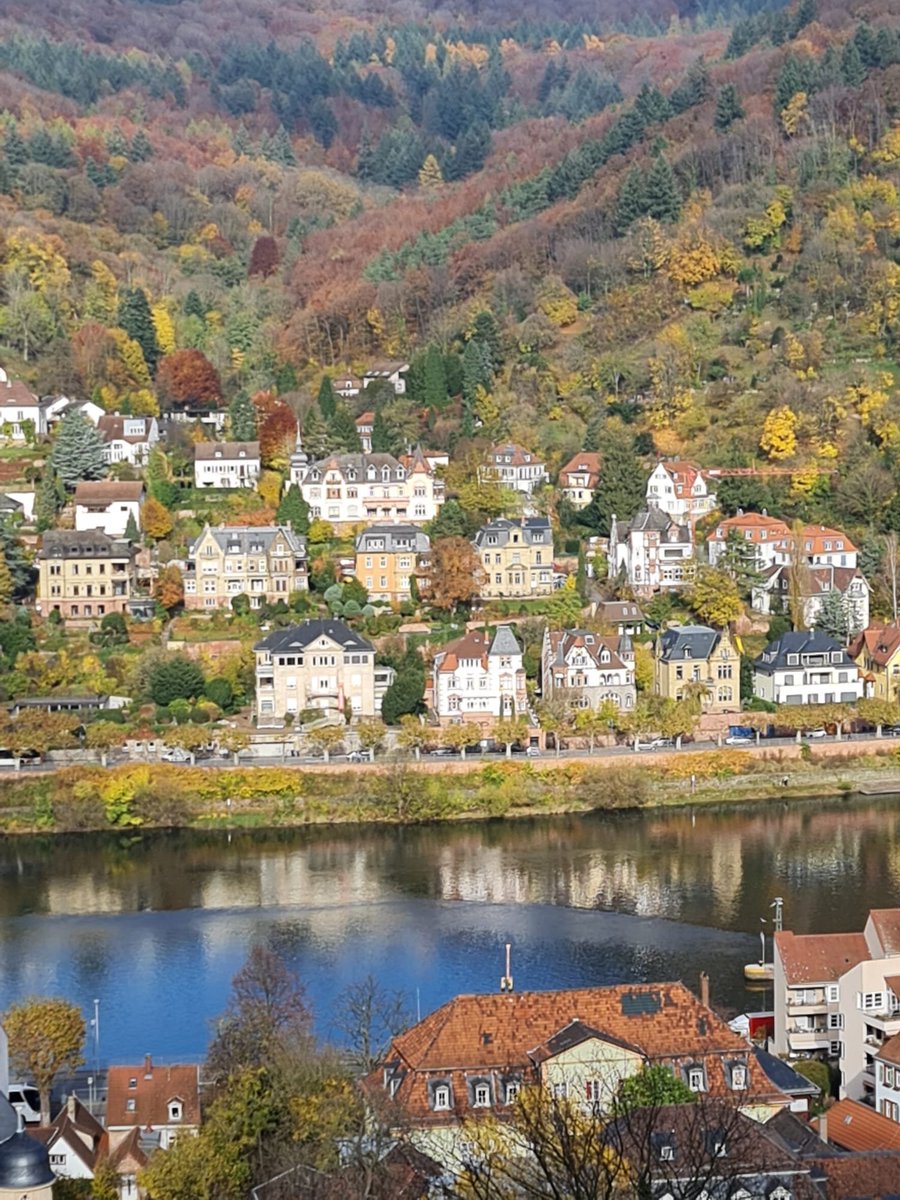 Potato (@potato) on Twitter photo 