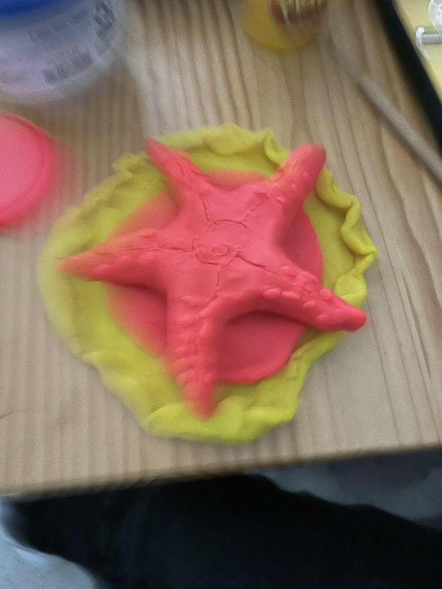 CatMomWV's tweet photo. Beautiful starfish ⭐️ in Marine Science @BlythewoodHigh #EarnYourStripes #BengalScience https://t.co/snLSZNutlv