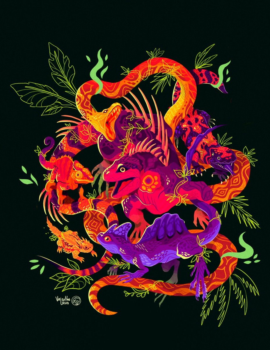 Valentino Lasso🌿 tweet media