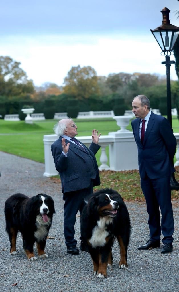 spochadoir's tweet photo. ‘well I’d love a fucking break from the job Micheál but we can’t all be rotating can we? you lanky bollocks’ https://t.co/Fx7IjQVN85