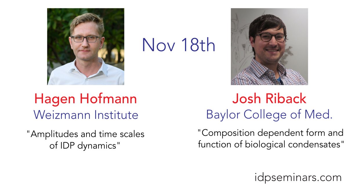 IDPseminars tweet media