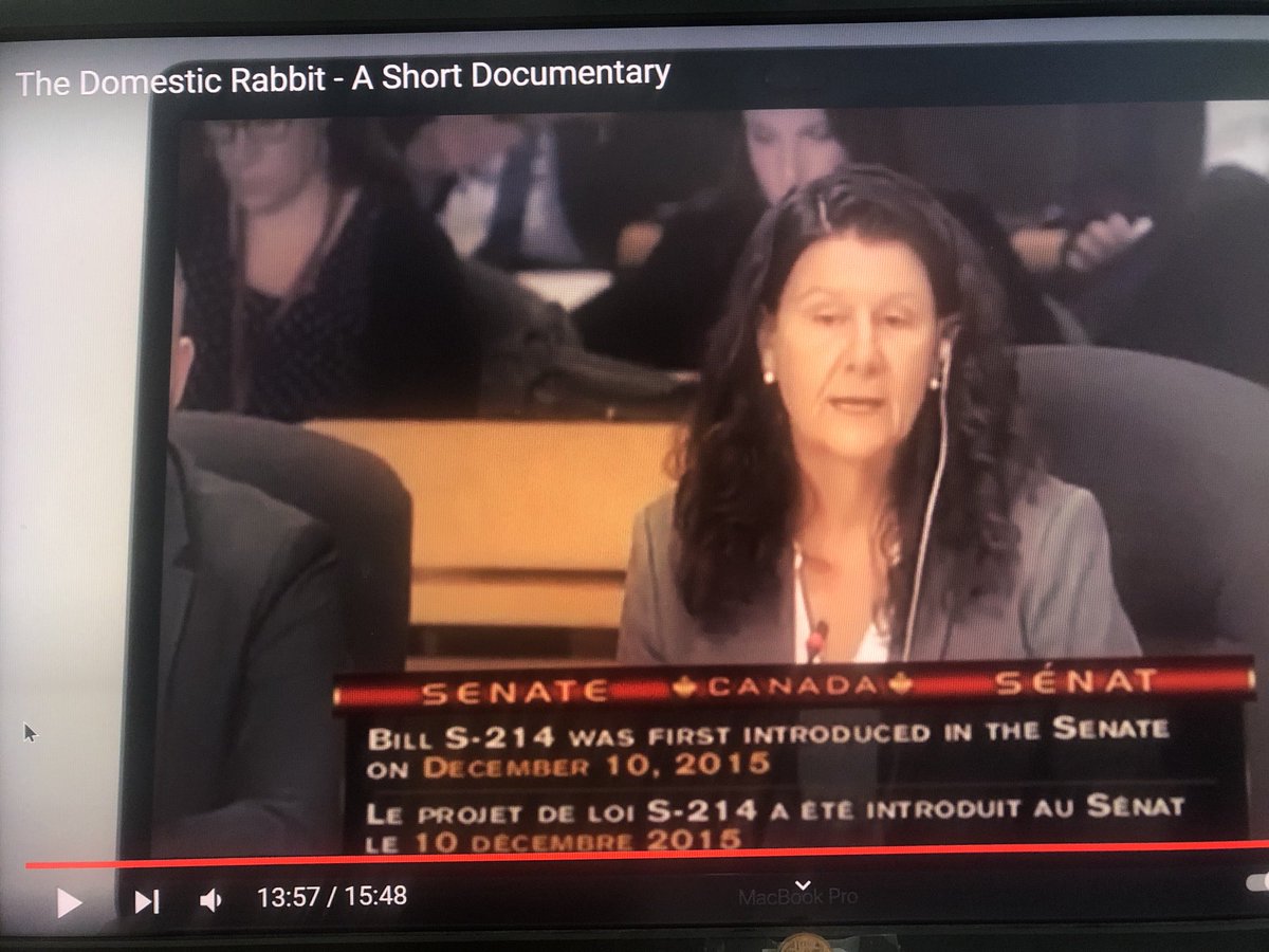 shroffanimallaw's tweet photo. 📣 New documentary on #Rabbits🐰❗️Pleased to be interviewed by #AnneBillingsley about hard life of rabbits ⚖️🐇 including need for #CosmeticTestingBan on animals💄#AnimalLaw. Watch here:📽 https://t.co/LQIYIMTdU5
Documentary includes @HumaneCanada |@beynate https://t.co/GA0uIQt7VN