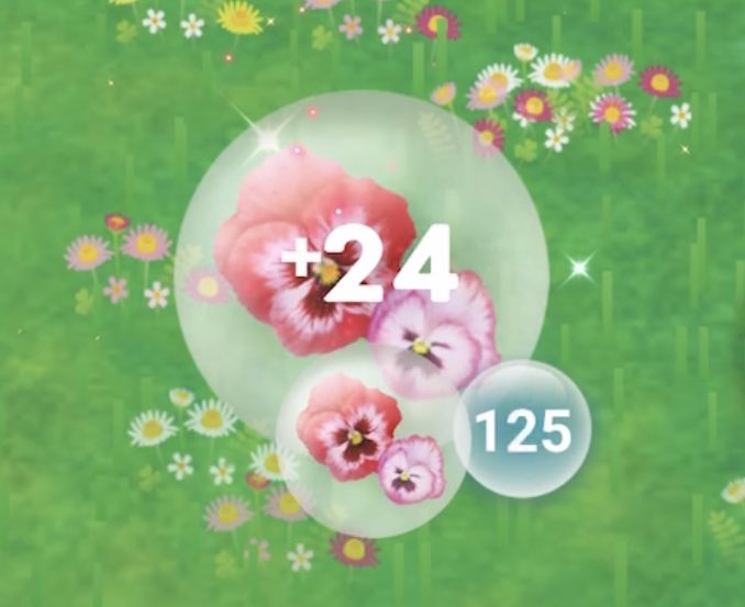 Ittousai 花は皆が植えるため狙いどおりになるかはともかく コミュニティ デイはまずビッグフラワーを咲かせてパンジーのエキス獲得 ピクミンに与えて花びら獲得 ６時間で枯れた次はパンジーを植えて咲かせる 運が良ければレアなビッグ