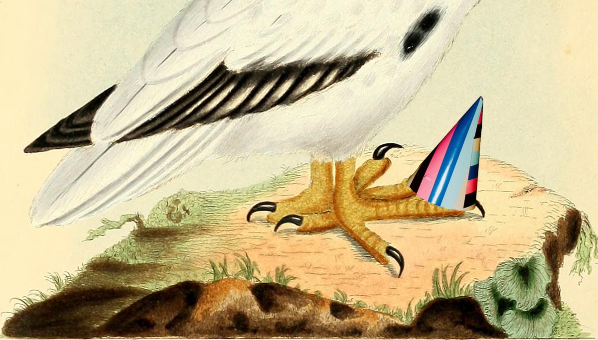 We’re having a party! Join us at Reference Point on 2 December to celebrate <a href="/RZBaschir/">R.Z BASCHIR</a>, winner of our 2021 short story prize. Tickets here:
eventbrite.co.uk/e/209724179667