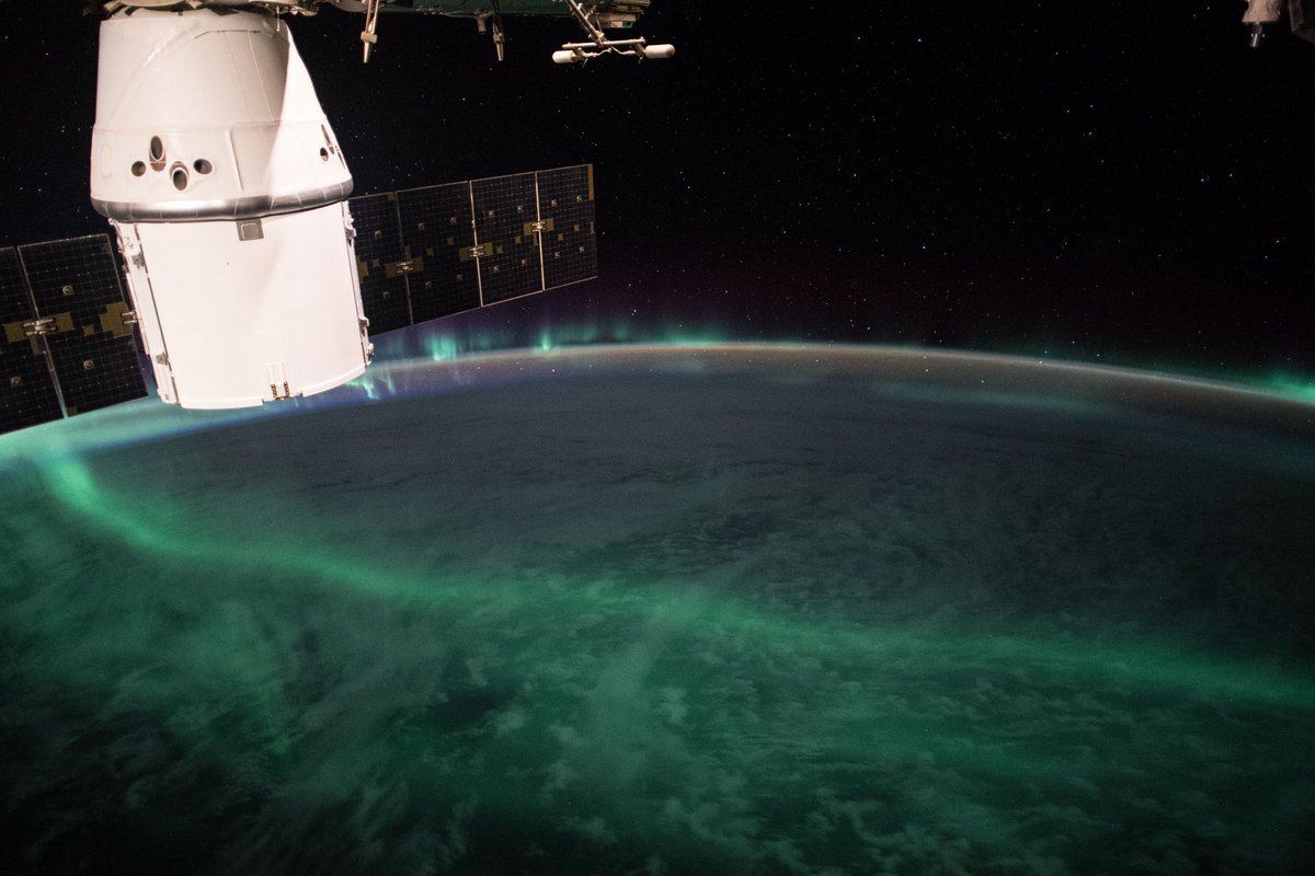 OlegMKS's tweet photo. (Aurora Borealis)
🚀Фантастическая красота северного сияния🚀 https://t.co/8uc2hKmvth