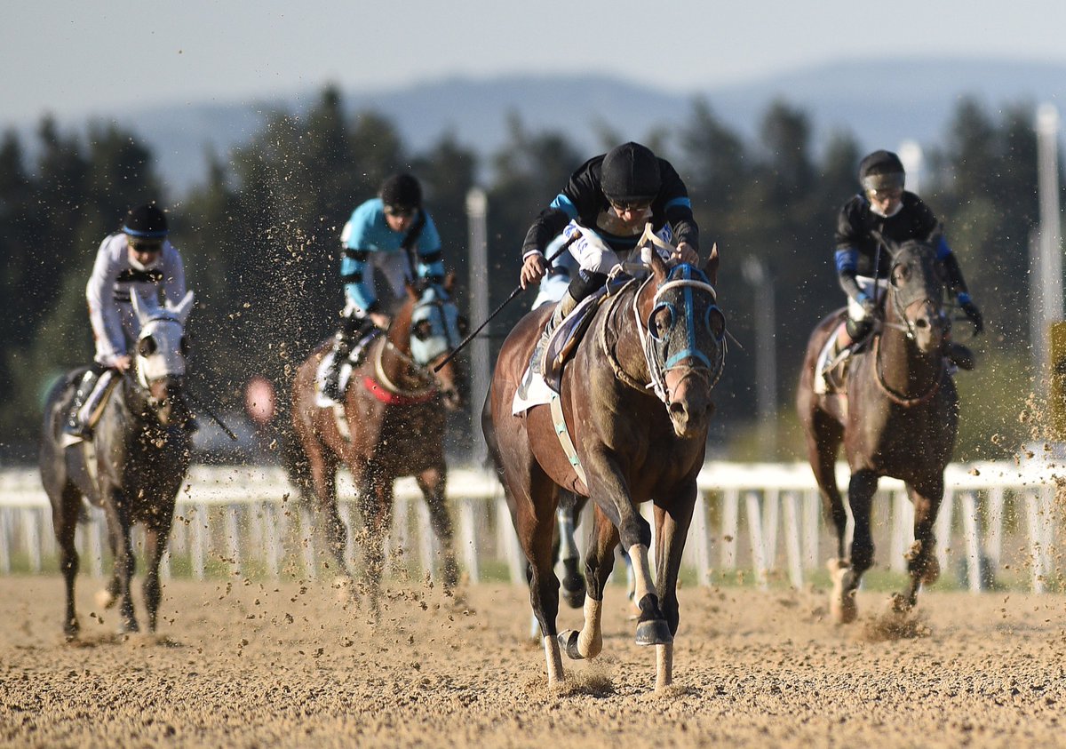 Long Runner – Yeşil Bursa Koşusu 2021