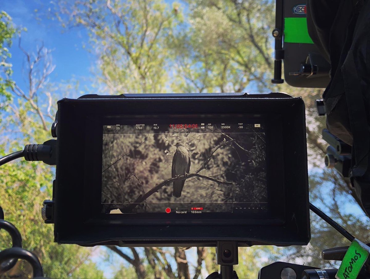 martinturnes's tweet photo. 🎥#DiariodeRodaje
🎬 @ElHachaFilm
💡Jornada 310 ~ Etapa 3 Jor 10
🔥 dir @romerodh asist @ale_rath prod @puentefilms
#cineargentino #cine #direcciondefotografia #dop #irfilm #cineir #infrared #infrarojo #BMPocket4K #LeicaR https://t.co/c2Rw8eU22H