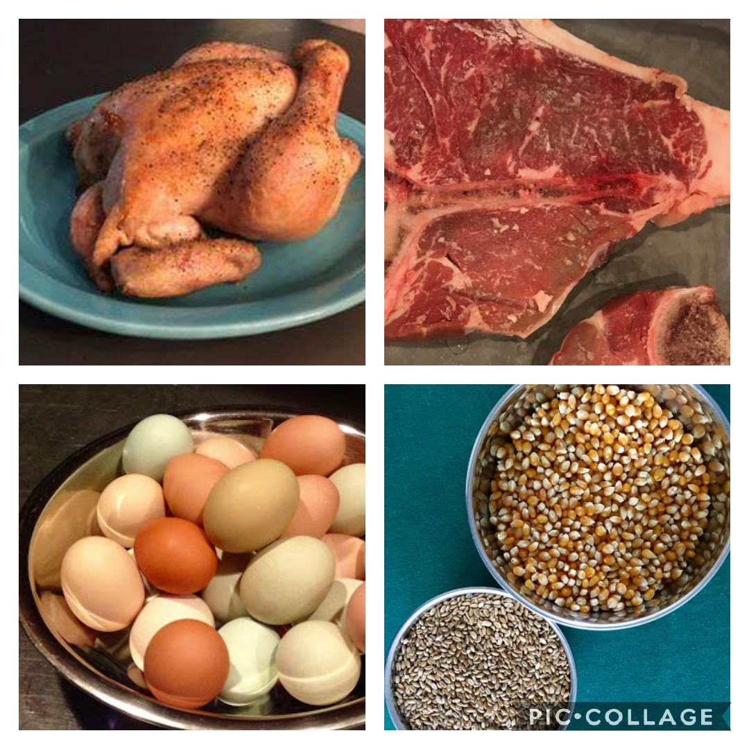 Our winter market is next week! We'll be in our summer location on Tuesday, Nov 16th, 3:30-5:30pm. We'll have Eggs, Chicken, Pork, Lamb, Turkey, Beef, Lettuce, Daikon Radishes, Spaghetti Squash,  Kale, Green Peppers, Habaneros, Garlic, Whole Wheat Flour, Popcorn, and Pet Treats.