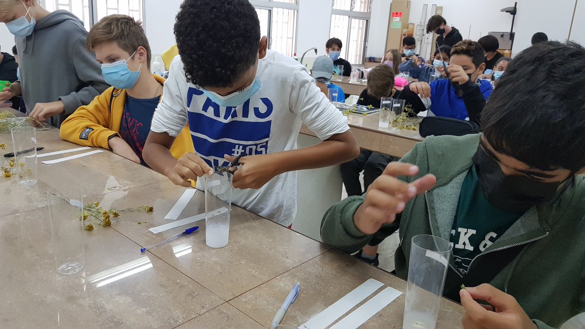 CienciaULL's tweet photo. 🔬Ayer estuvimos con el #Lab_Arona del @AytoArona y la @ULL realizando dos talleres sobre botánica🌿y lanzamiento de cohete🚀en el IES Los Cristianos📚y el SIES en Arona🏫respectivamente

#ARN_INNOVA #somosciencia #somosinnovación #protegerlaciencia #protegerlavida @iescristianos https://t.co/5BoEWaD4cB