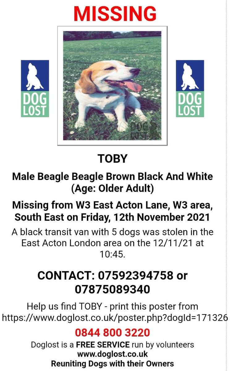 6 DOGS STOLEN IN DOG WALKERS VAN
East Acton Lane W3 

CABBAGE - Collie
B BAU - Beagle
TOBY - Beagle 
BOUKA - GSD/Husky
BUFFY - Cockerpoo
SAM - Tan Labrador Cross 

Black Transit Van - AF20 XZD  

10.00am outside ‘Sams’ corner shop - East Acton