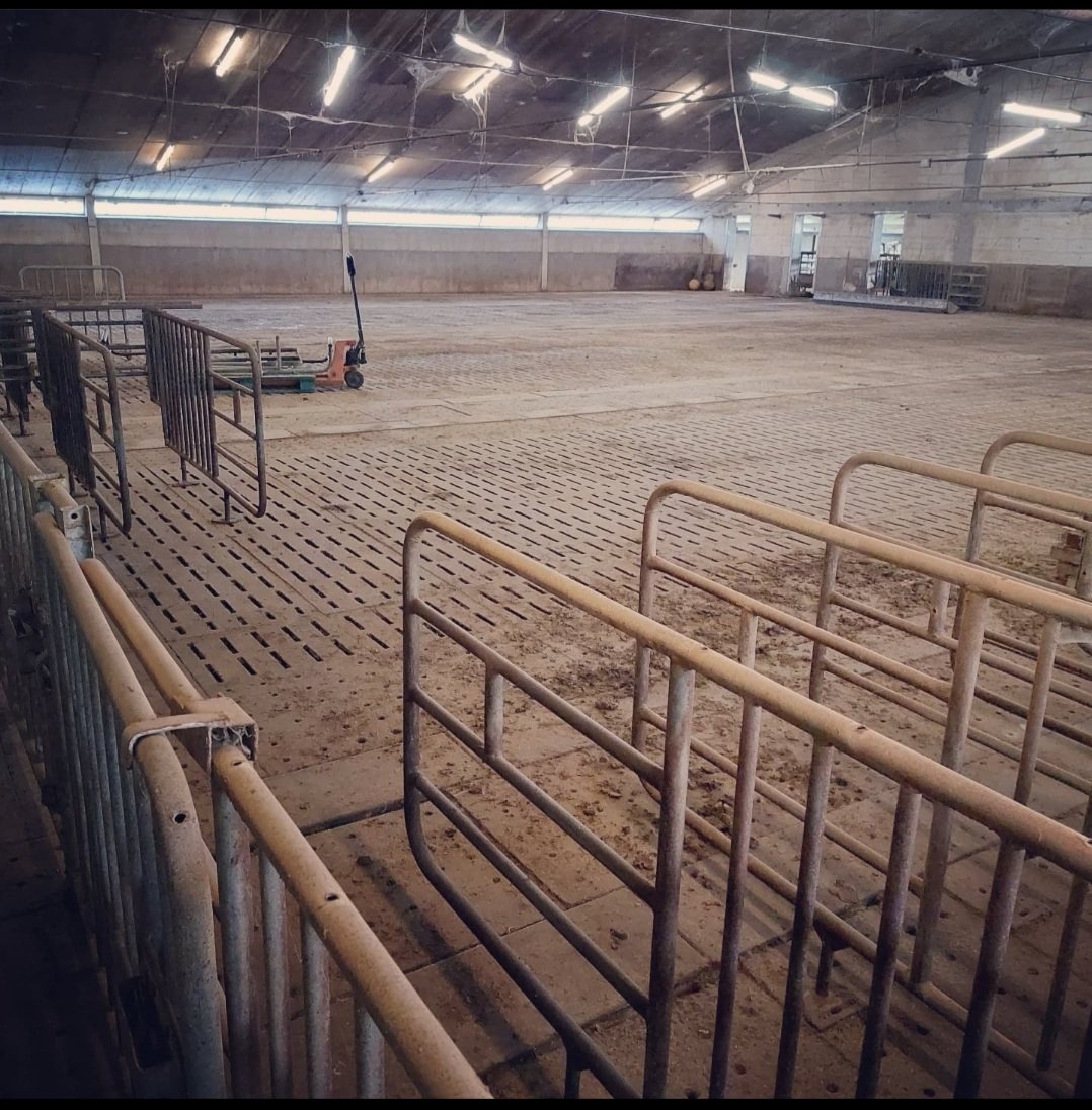 vergotebart's tweet photo. De balzaal is bijna klaar 👌👌
Ready for a party🥳🥳🥳

#stopzetting
#zeugenstal https://t.co/ChBkjnSqdd