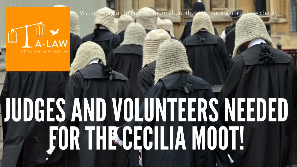 Our Cecilia Moot will run for the third year in a row! The first round of the competition will take place on December 4th, 2021. We are seeking judges and volunteers for the virtual moot, which will take place via zoom.

If interested, please email mootteam@alaw.org.uk
