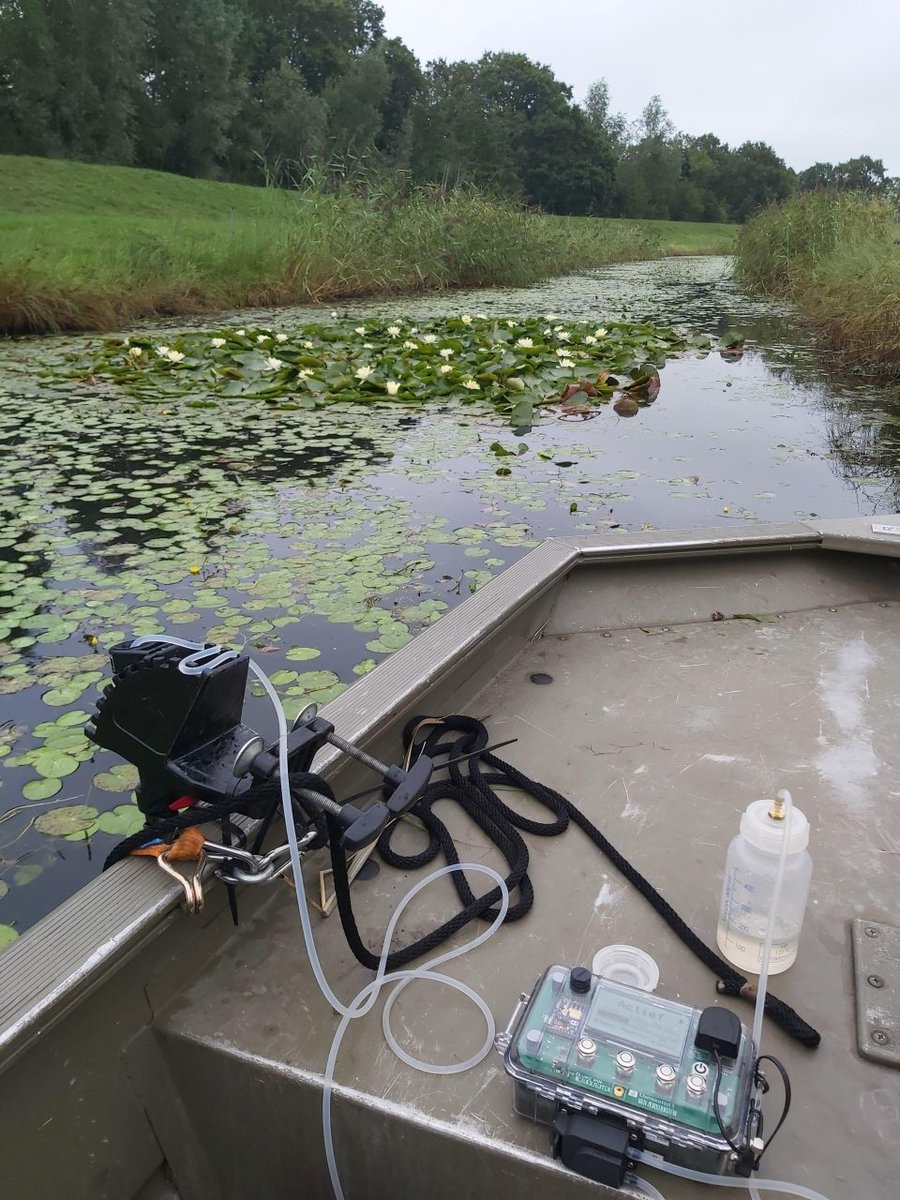 Life MICA tweet media