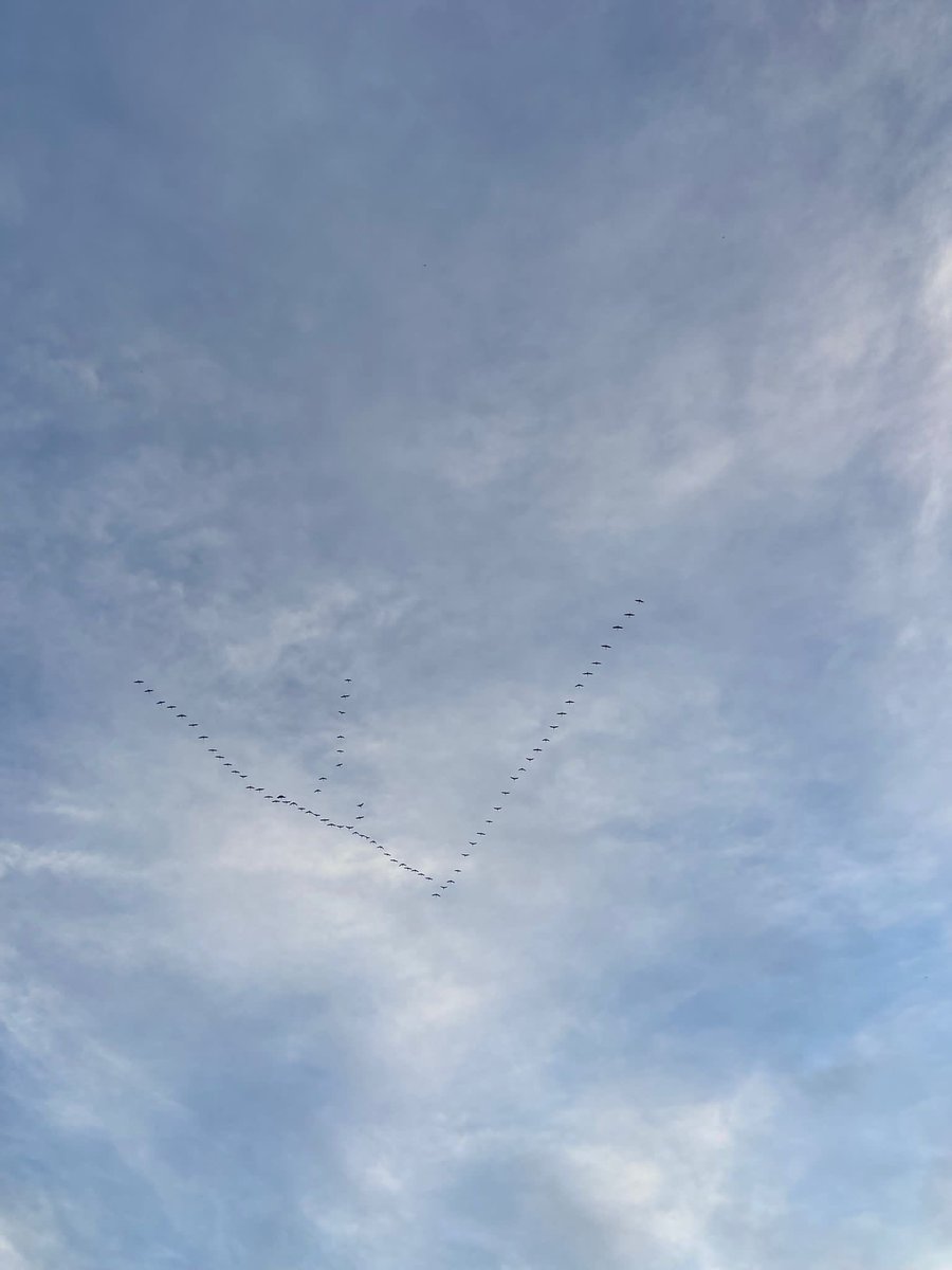 Hall_of_wine's tweet photo. #migration beyond a wine plot #nft #wine #art #wineart #luxe #nature #nftwine #NFTGiveaway #ciel https://t.co/DqXhOVMQdK