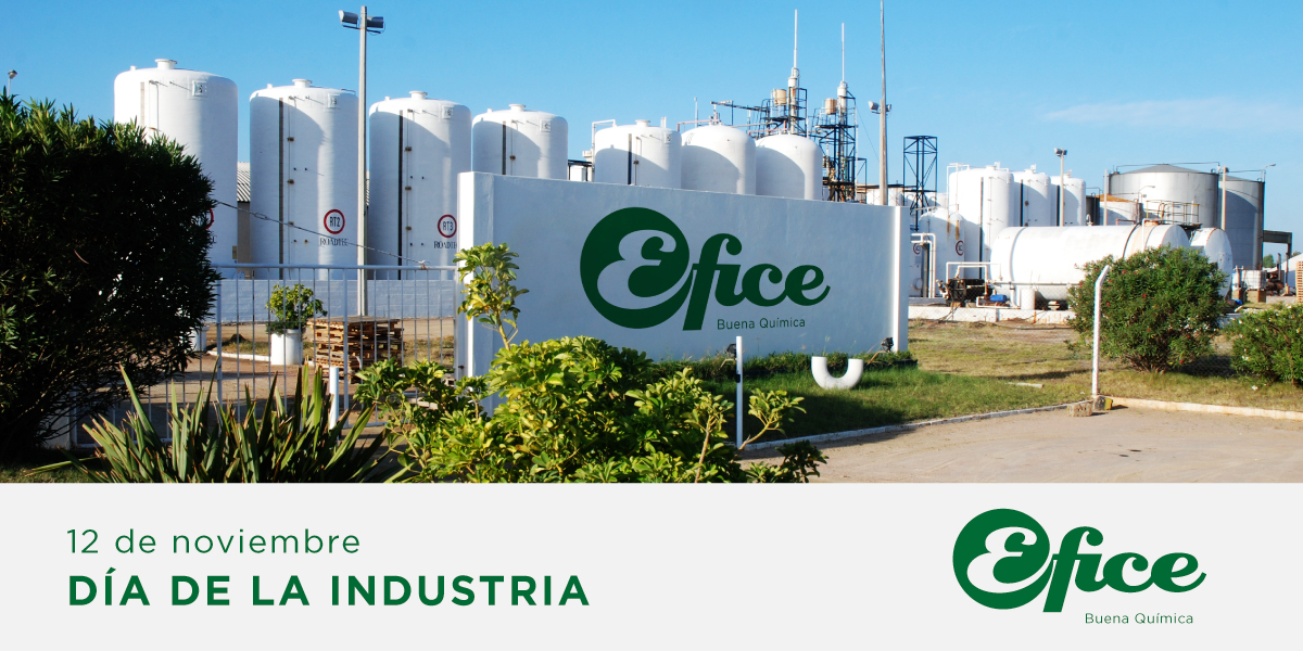Hoy es el día de la industria y hay mucho para festejar. En Efice seguimos adelante desde hace más de seis décadas, siendo un símbolo de la industria Nacional, generando innovación, empleo y desarrollo soberano para el Uruguay del presente y del futuro.
#BuenaQuímica #Uruguay