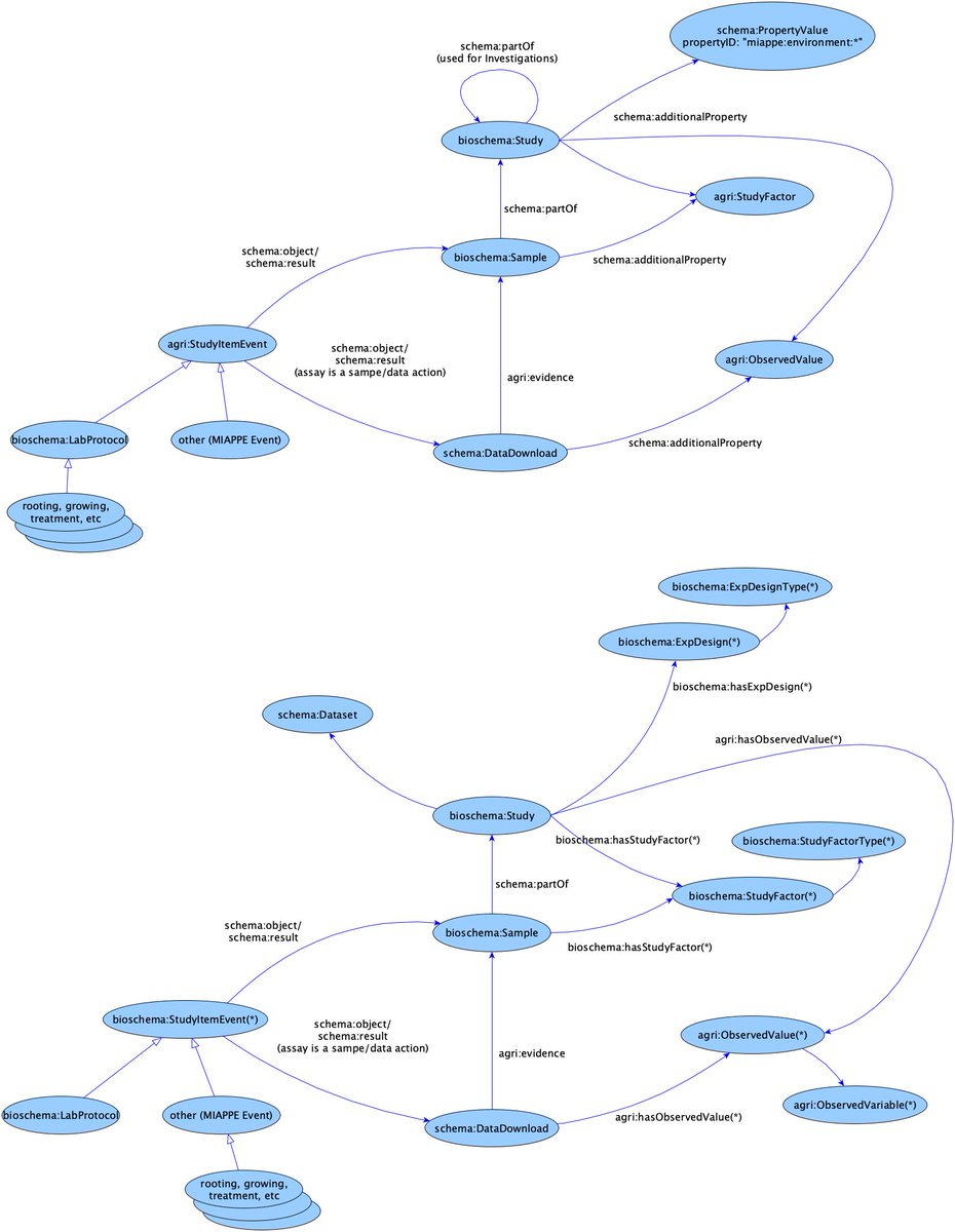 mbrandizi's tweet photo. Why #data/#opendata #interoperability is hard. Top: initial mapping to #bioschemas/#schemaorg from the #MIAPPE. Bottom: new ver. that about ten people (kindof) agreed, after 1 week of great/intensive/time-consuming collaboration at #BioHackEU21. #bioinformatics #PlantBiology https://t.co/QhOklASc3F