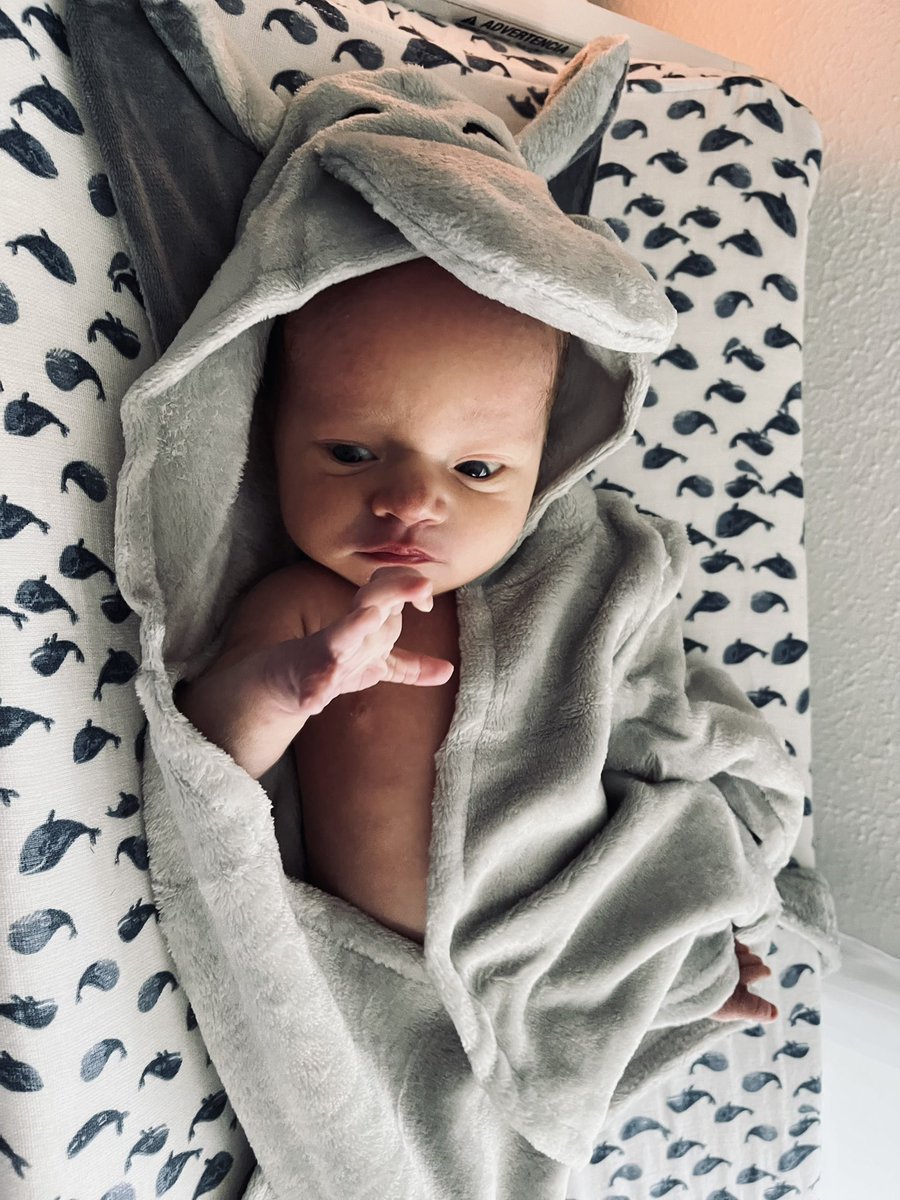 KendraLang4d's tweet photo. Harrison Gardner Langford joined the family at 9:13pm on 11/4! One whole week loving on this little guy💙 https://t.co/0rm1jWwM5L