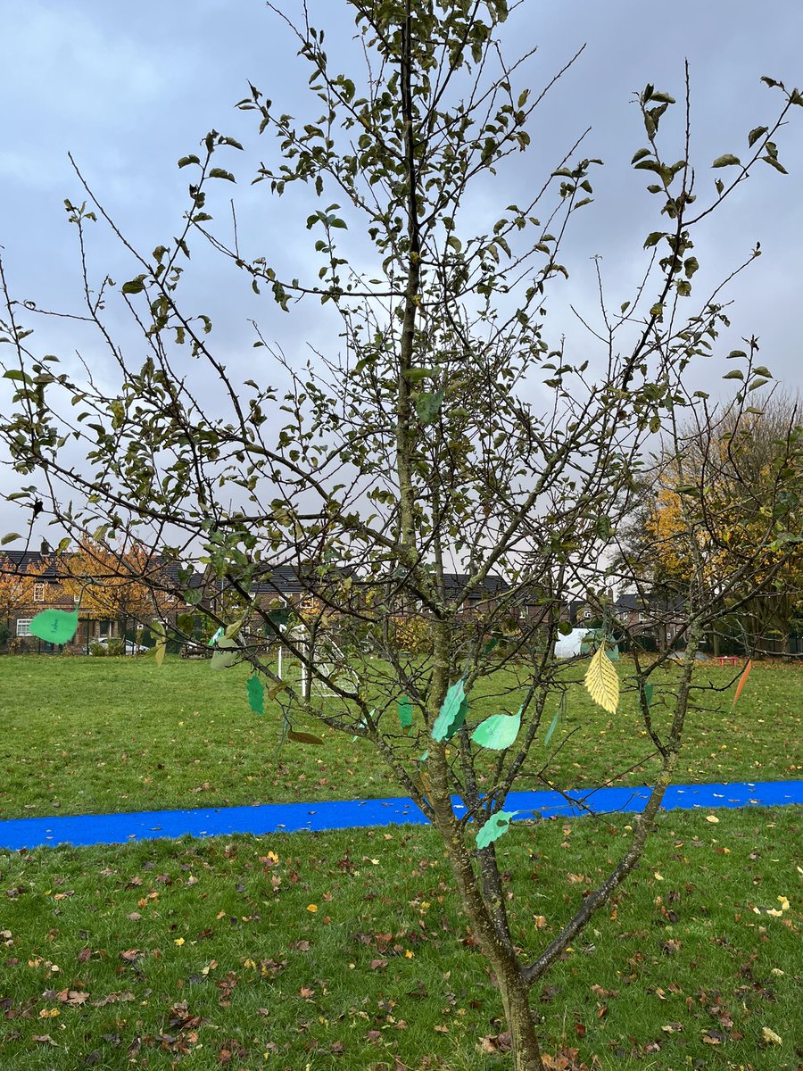 st_swinton's tweet image. Years 4 and 5 COP26 promises. As COP26 comes to an end we will start on our own journey to fulfill our promises. What will you promise to do to help the world? #COP26 @wwf_uk #FightForYourWorld #OneSharedHome