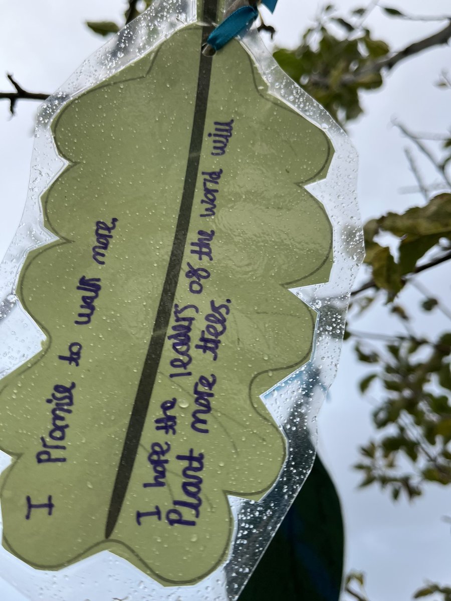 st_swinton's tweet image. Years 4 and 5 COP26 promises. As COP26 comes to an end we will start on our own journey to fulfill our promises. What will you promise to do to help the world? #COP26 @wwf_uk #FightForYourWorld #OneSharedHome